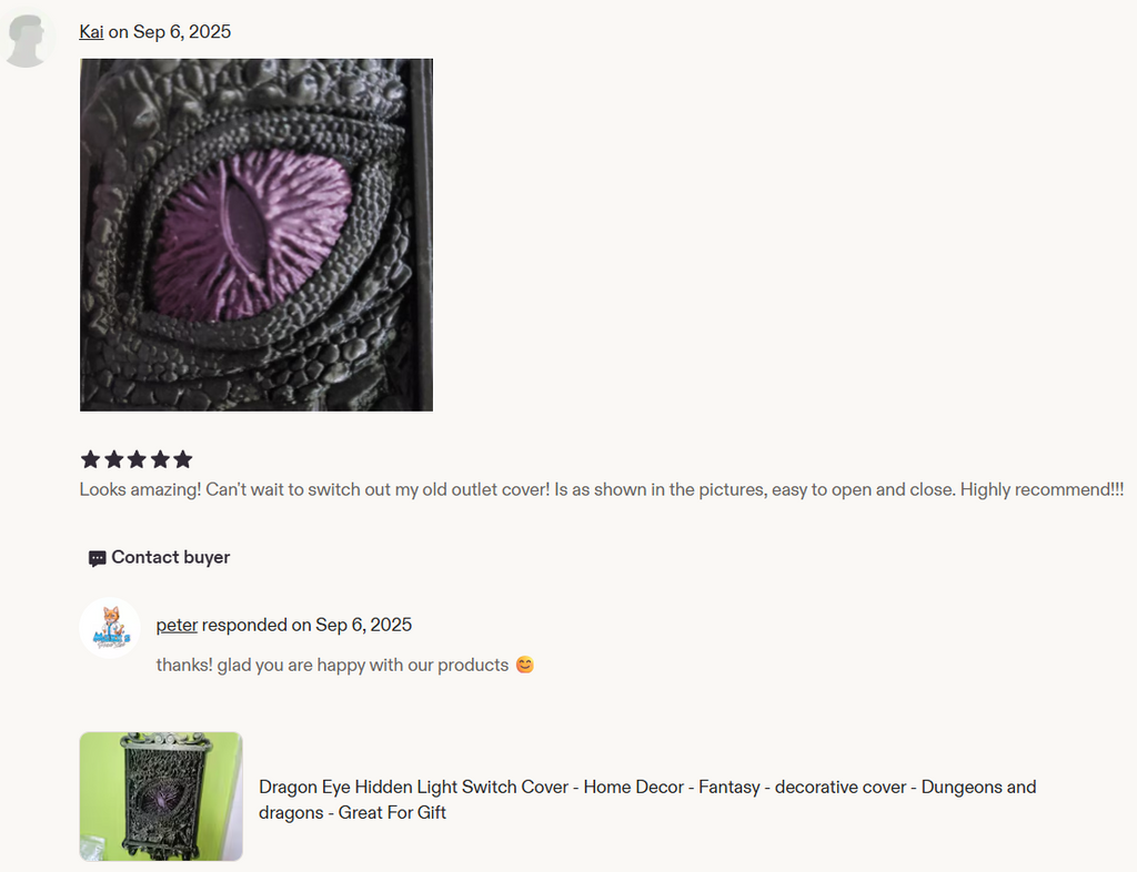 Dragon Eye Light Switch Cover: Fantasy Home Decor
